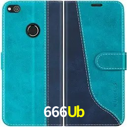 Platform Technology 666Ub