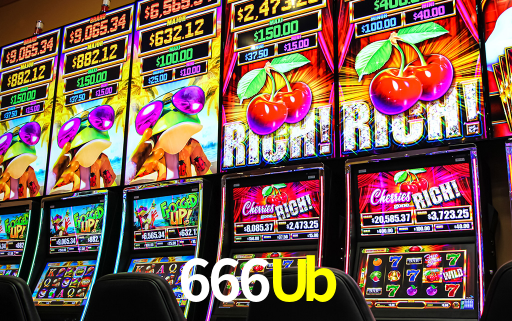 Premium Interface 666Ub